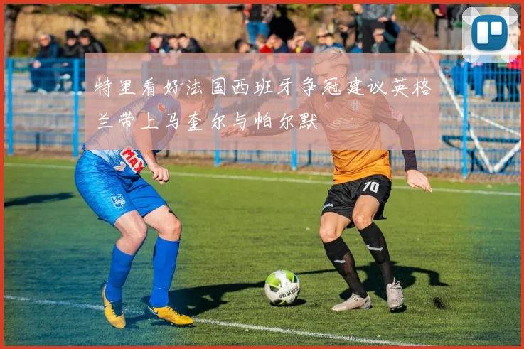 特里看好法国西班牙争冠建议英格兰带上马奎尔与帕尔默